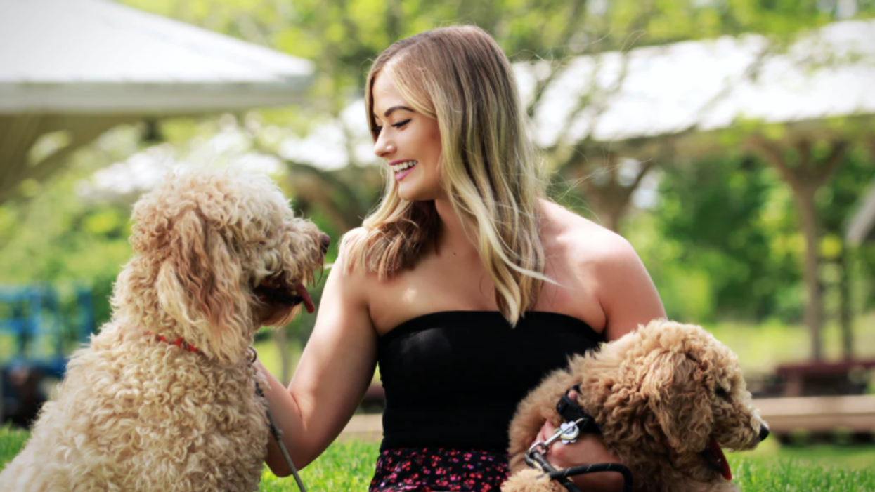 Pet Commercial Casting In Canada Will Pay You $1,200 To Feature Your Fur Baby