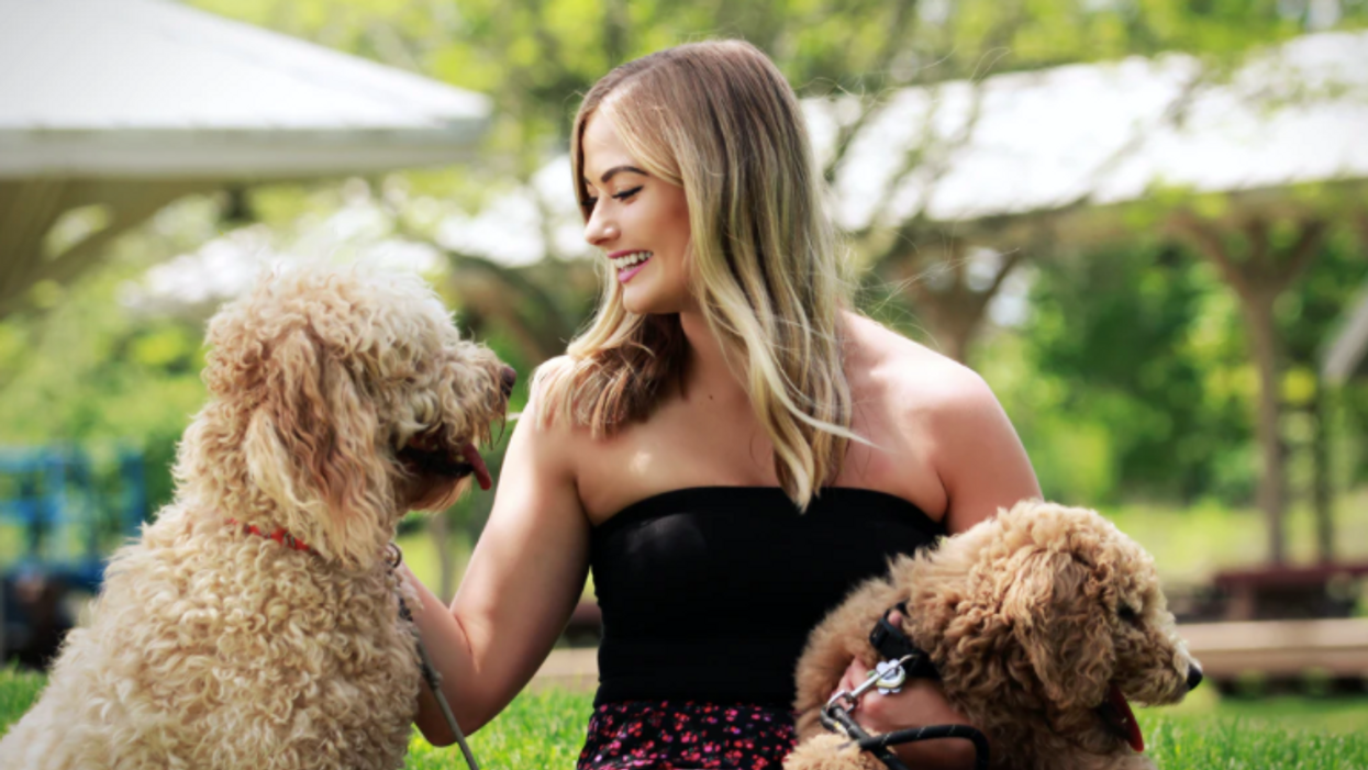 Pet Commercial Casting In Canada Will Pay You $1,200 To Feature Your Fur Baby