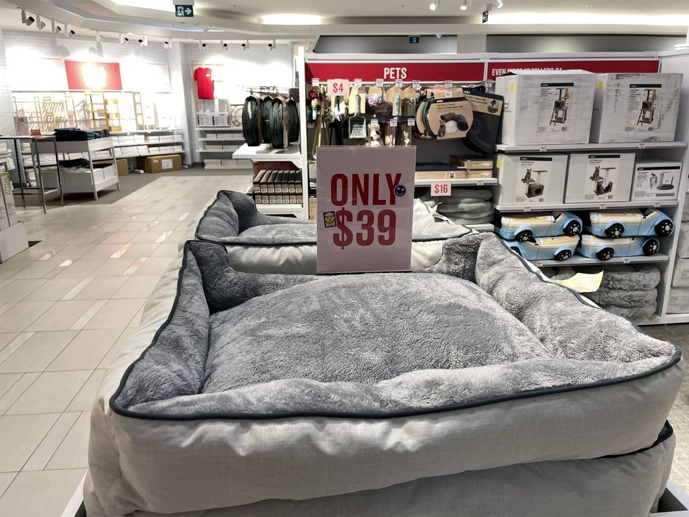 Pet products in Zellers.