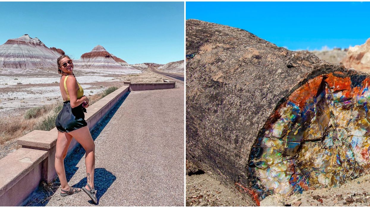 Petrified Forest National Park In Arizona Has Ancient 'Crystal' Logs On Display