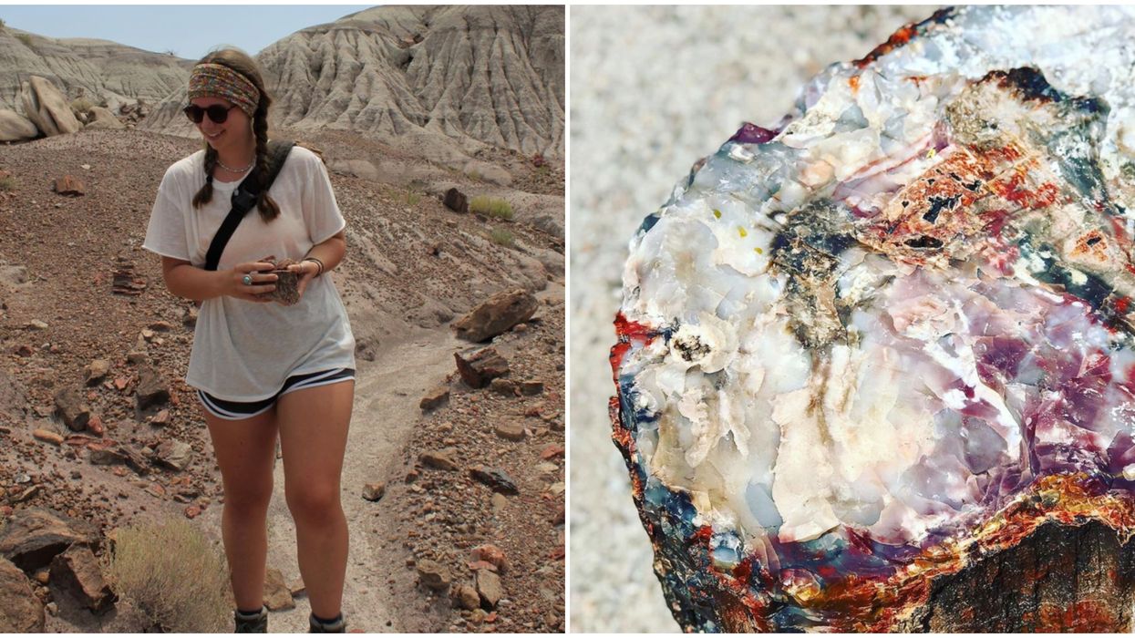Petrified Forest National Park In Arizona Is A $25 'Psychedelic' Adventure