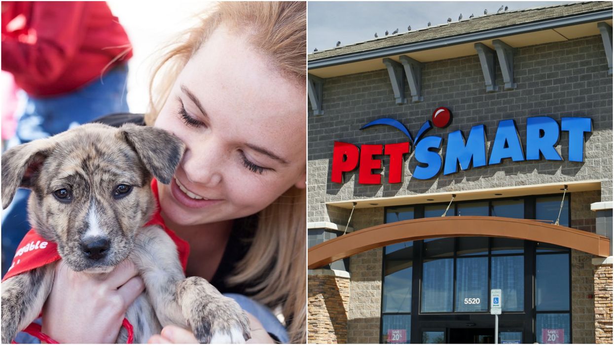 PetSmart National Adoption Days Are Back & So Many Furry Friends Are Available
