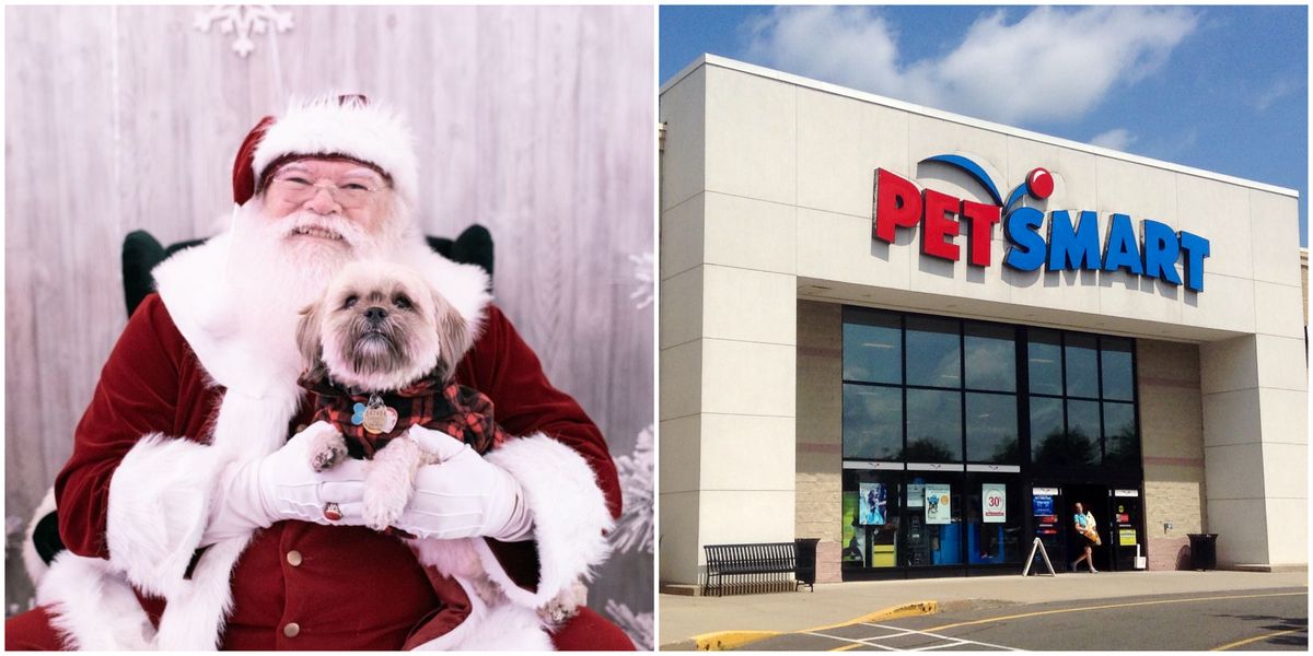 PetSmart Photos With Santa Are Back For Two Weekends Before Christmas