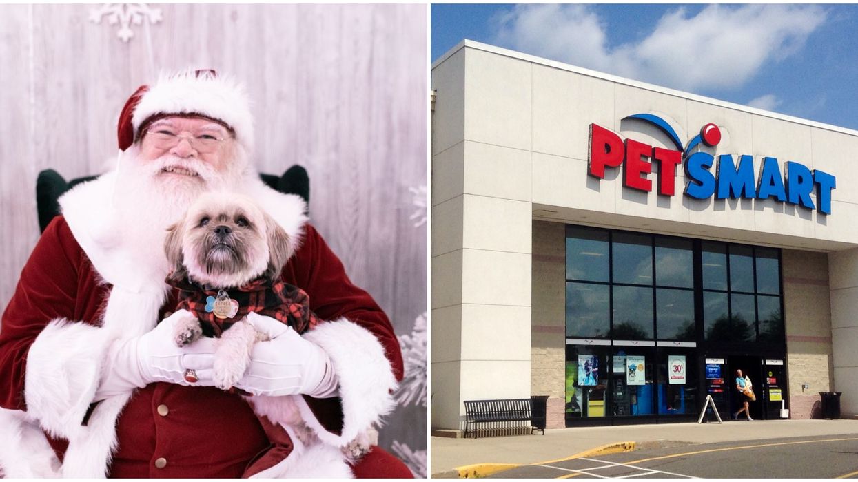 Petsmart Christmas Commercial 2021 Petsmart Photos With Santa Are Back For Two Weekends Before Christmas Narcity Petsmart Christmas Commercial 2021 Petsmart Photos With Santa Are Back For Two Weekends Before Christmas Narcity