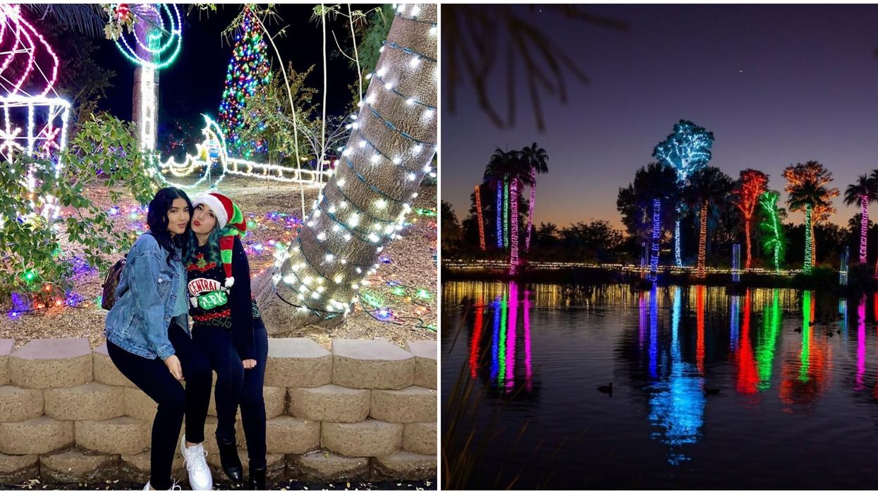 Phoenix Zoo's Zoolights 2020 Is Officially A Go For The Holidays