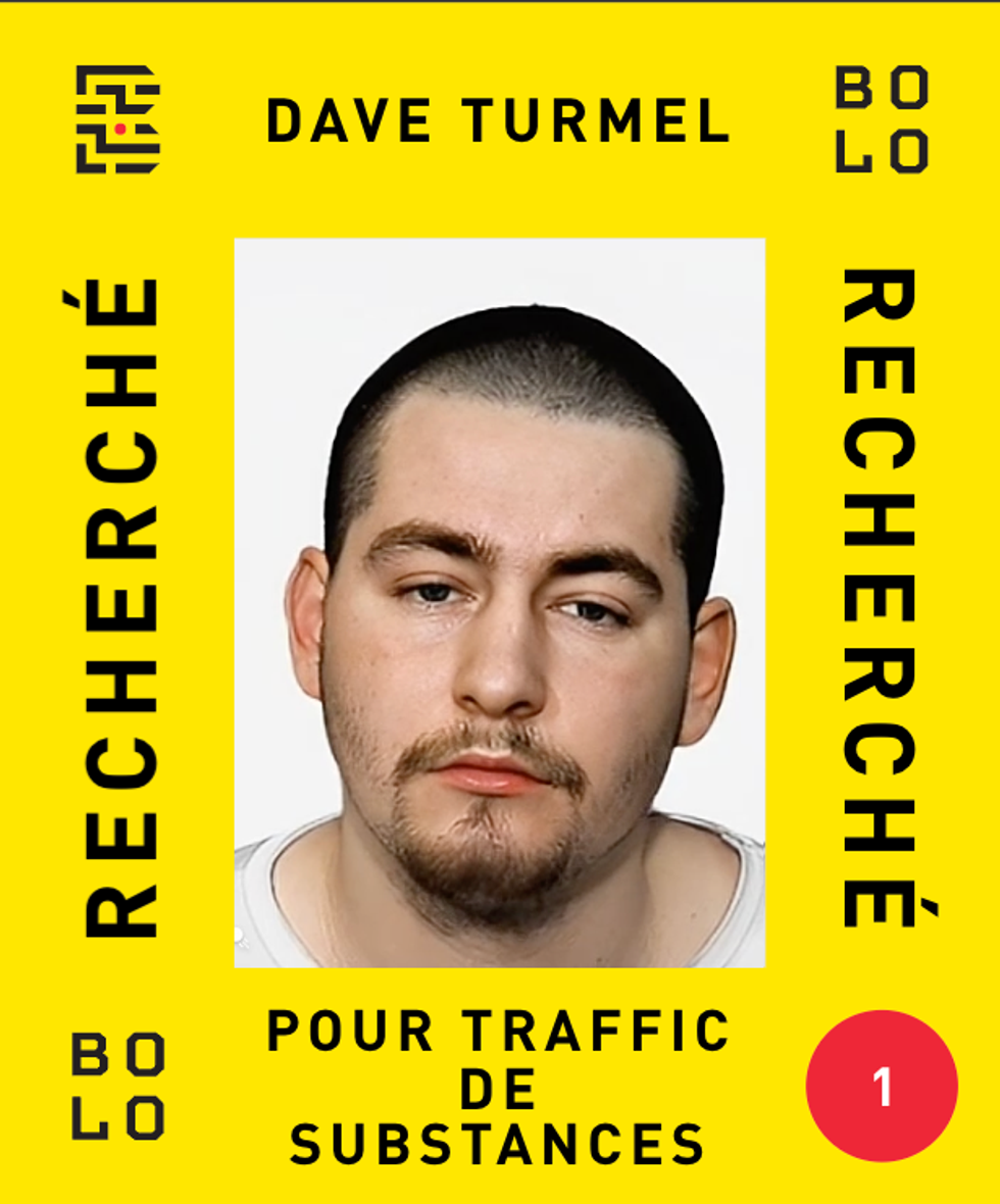 Photo d'identification de Dave Turmel.