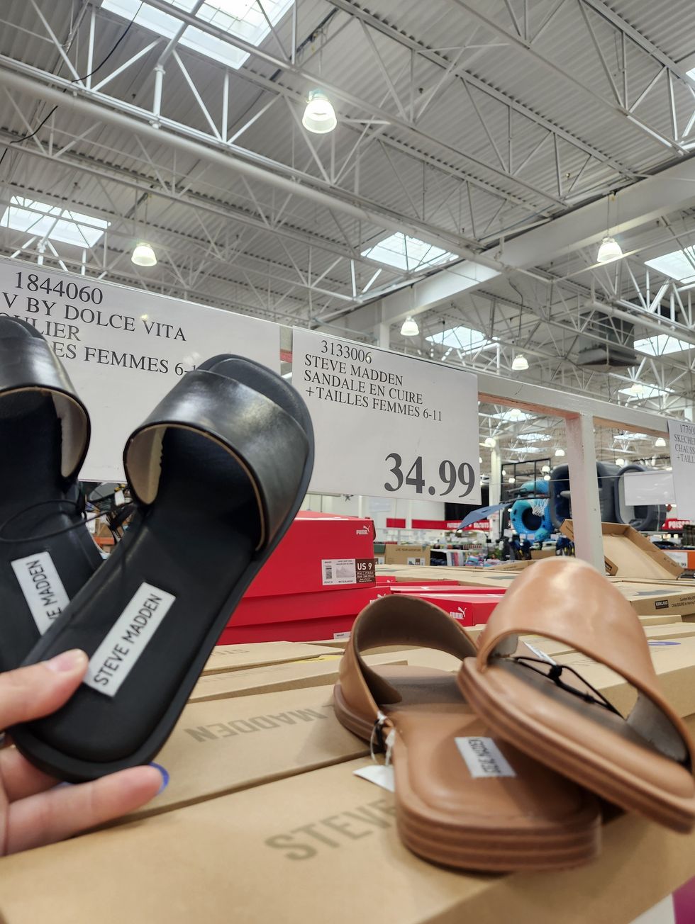 Photo de sandales en cuir de la marque Steve Madden disponibles au Costco.