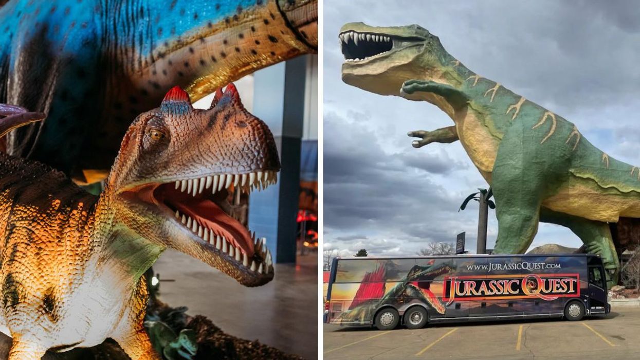 Photos de l'exposition Jurassic Quest.