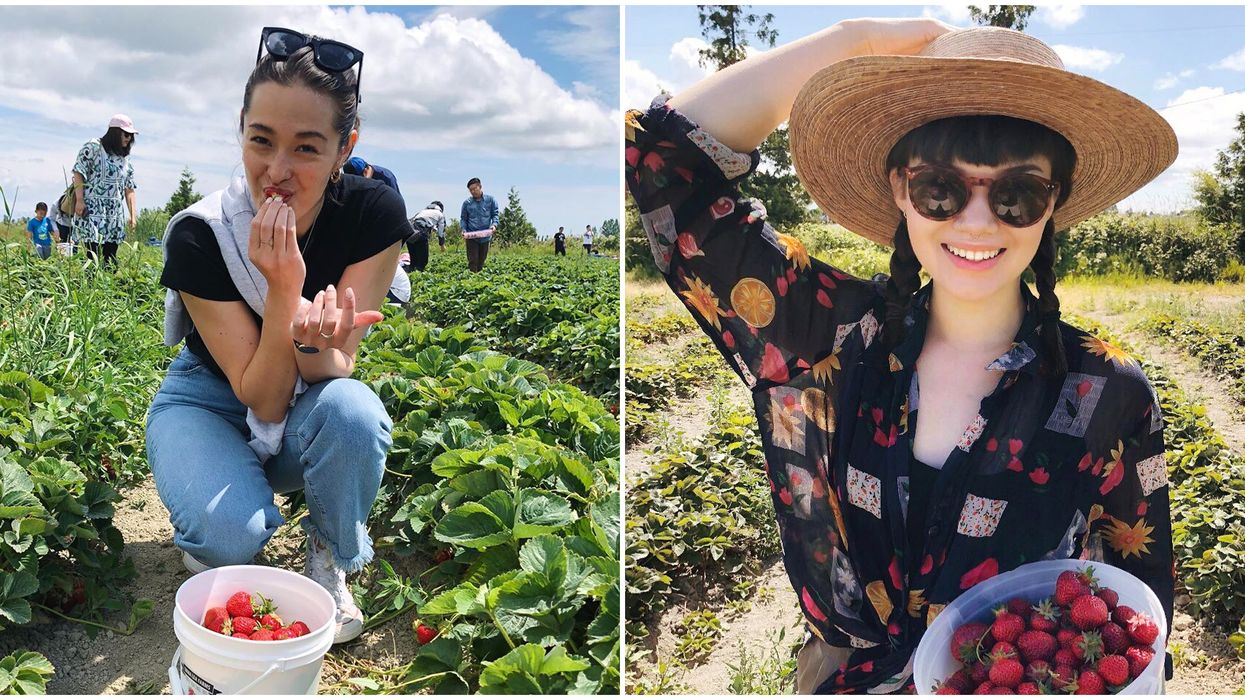 Pick Berries Near Vancouver For Super Cheap This Summer At This Cute Farm