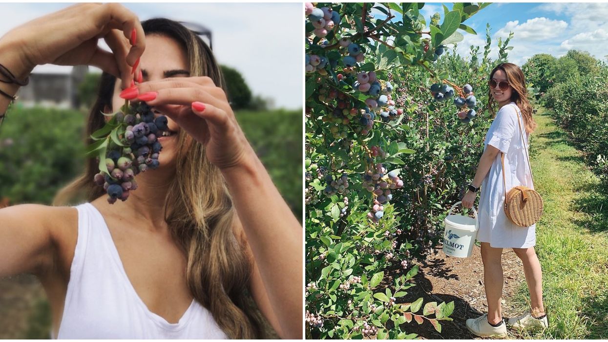 Pick-Your-Own Fruit In Ontario Will Make Your Summer So Sweet