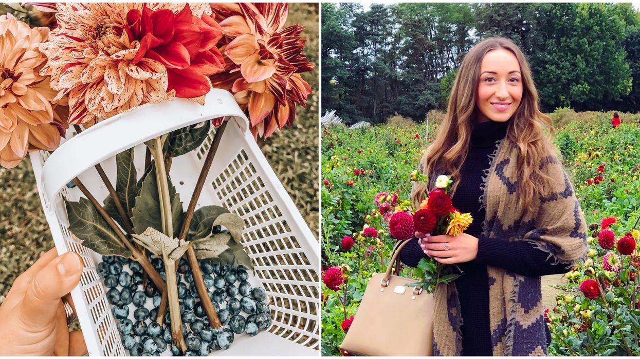 Pick Your Own Strawberries In Ontario At This Colourful And Adorable Farm This Summer