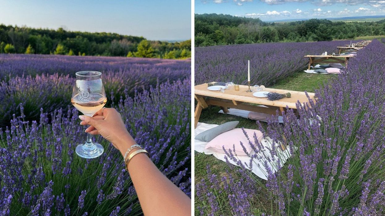 Picnic in a lavender field.