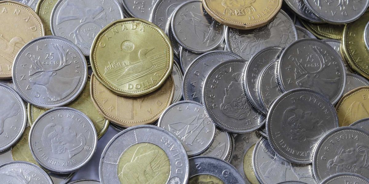 This new Canadian coin looks like a loonie but it has a different animal and costs more than This new Canadian coin looks like a loonie but it has a different animal and costs more than