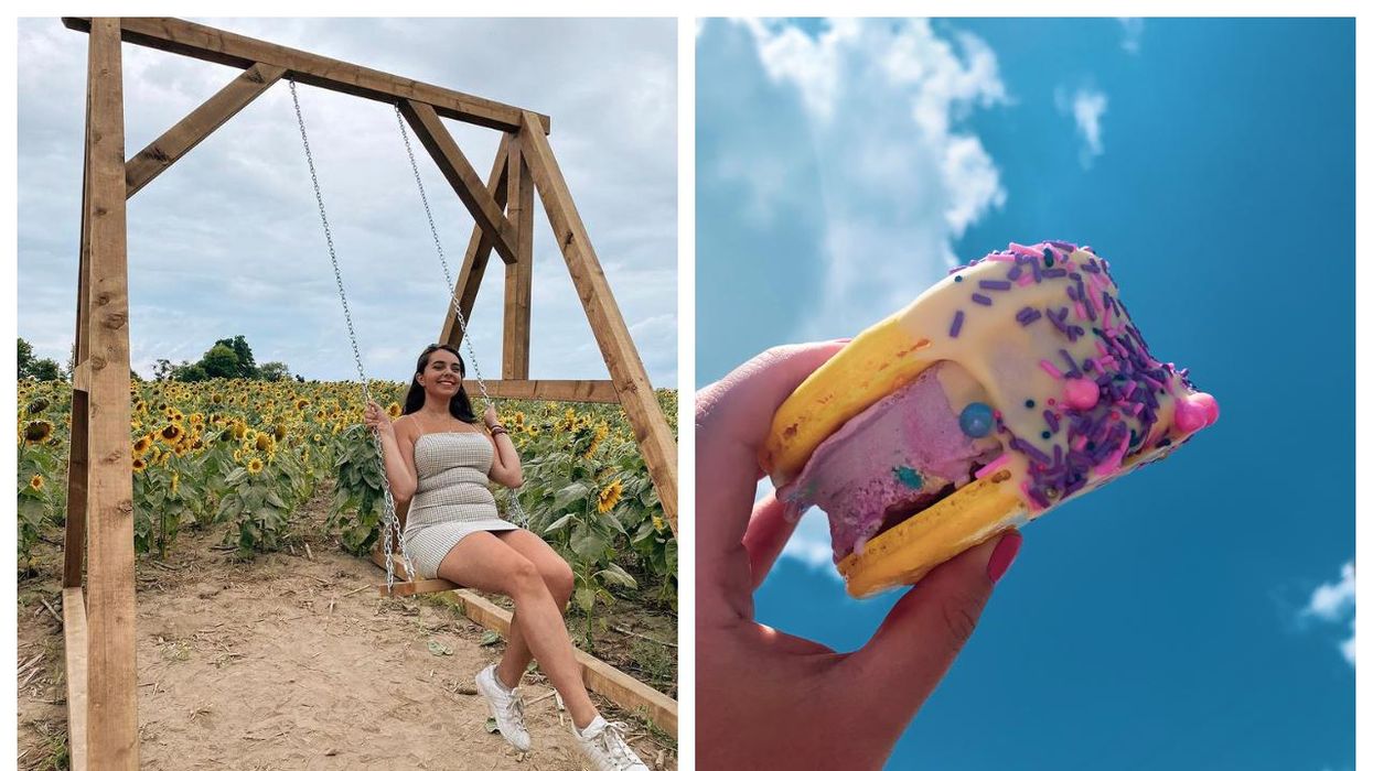 Pingle's Farm Near Toronto Has Thousands Of Sunflowers To Explore