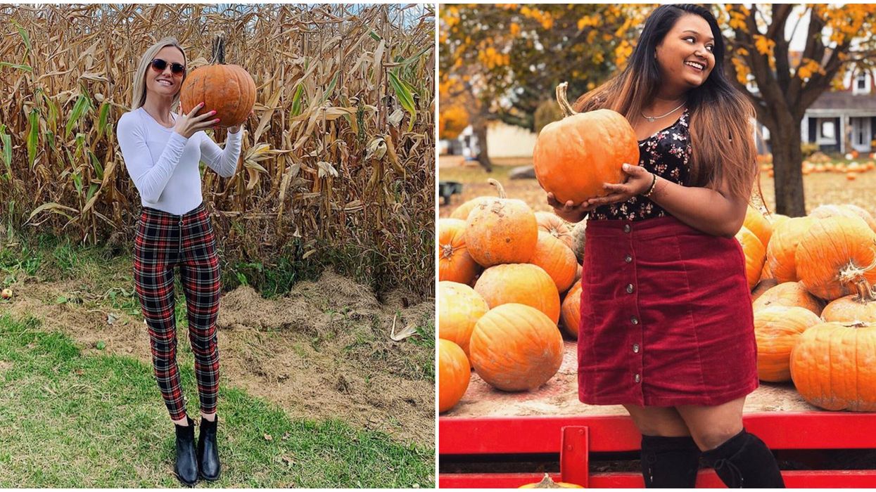 Pingle's Harvest Festival In Ontario Has An 8 Acre Pirate Corn Maze