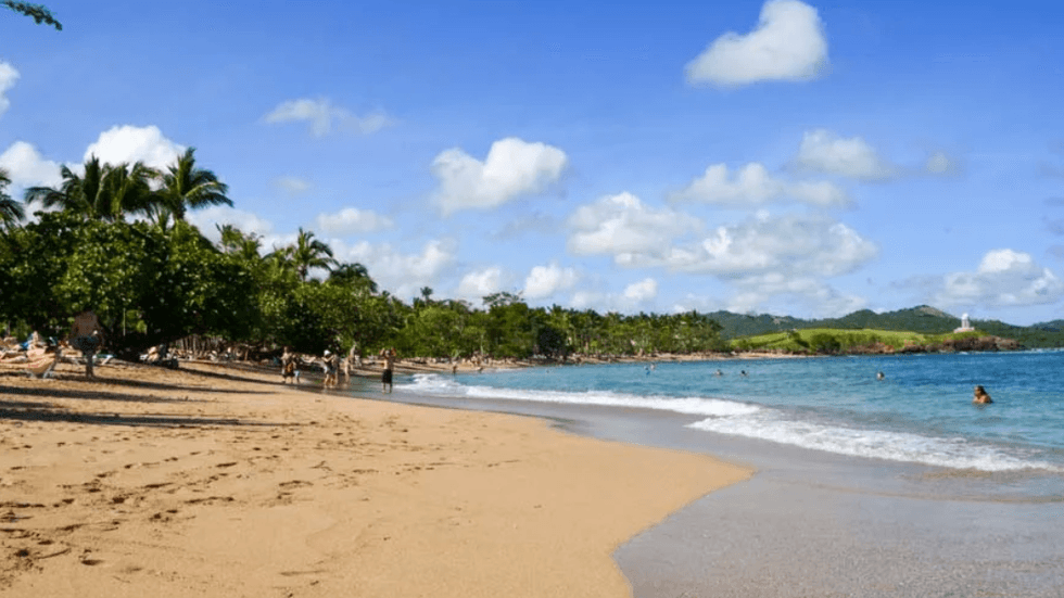 Piscine entour\u00e9e de palmiers au Playabachata \u00e0 Puerto Plata en R\u00e9publique dominicaine.