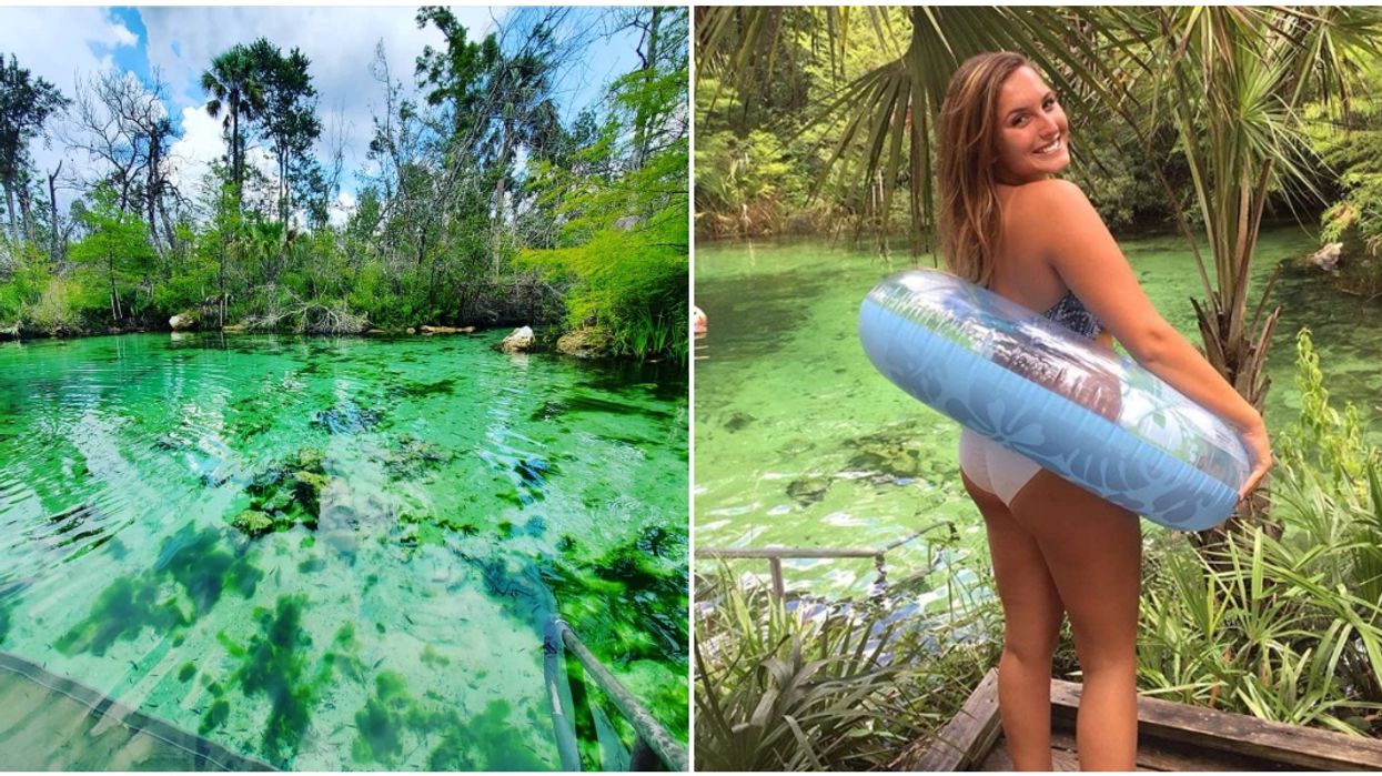 Pitt Spring Recreation Area Near Tallahassee Is A Rejuvenating Tropical Oasis