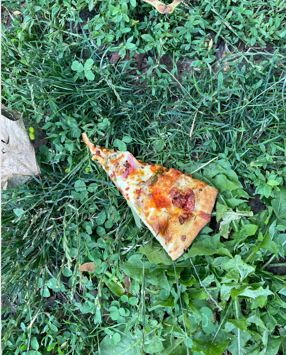 Pizza on the grass.
