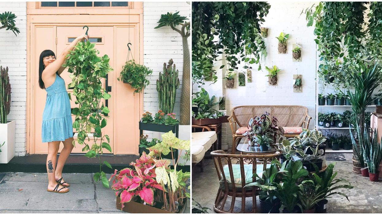 Plant Shops In Florida Fancy Free Nursery Is A Plant Paradise Behind A Pink Door