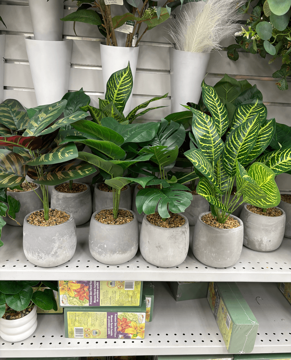Plante artificielle sur les tablettes du Dollarama.