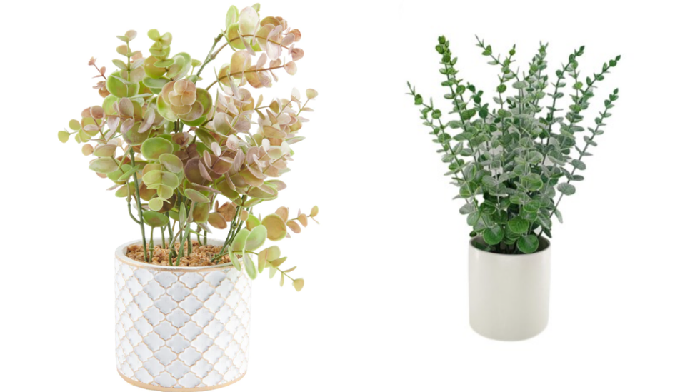 Plantes artificielles.