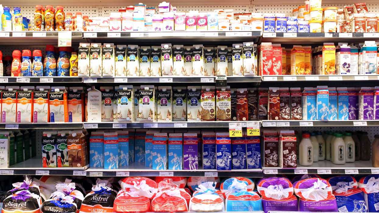 Plusieurs laits à l'épicerie.