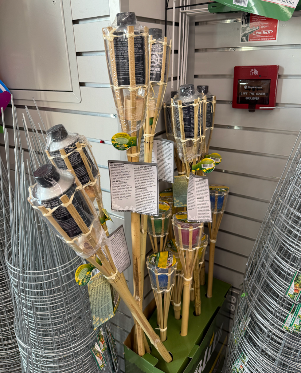 Plusieurs torches en bambou avec m\u00e8ches, regroup\u00e9es dans un pr\u00e9sentoir en magasin.