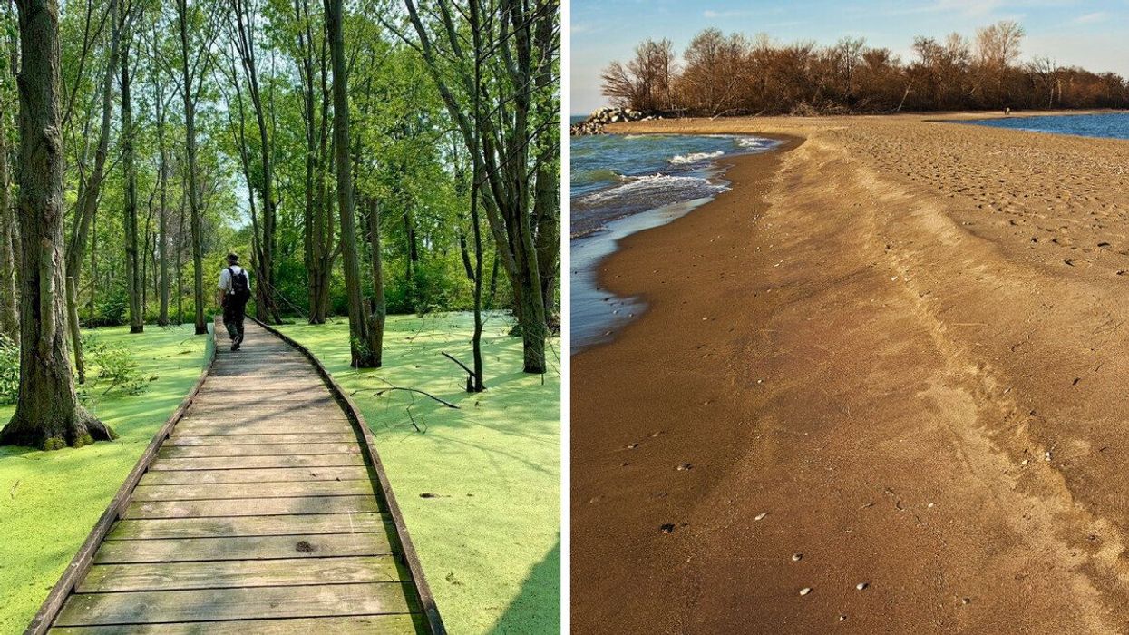 Point Pelee National Park.