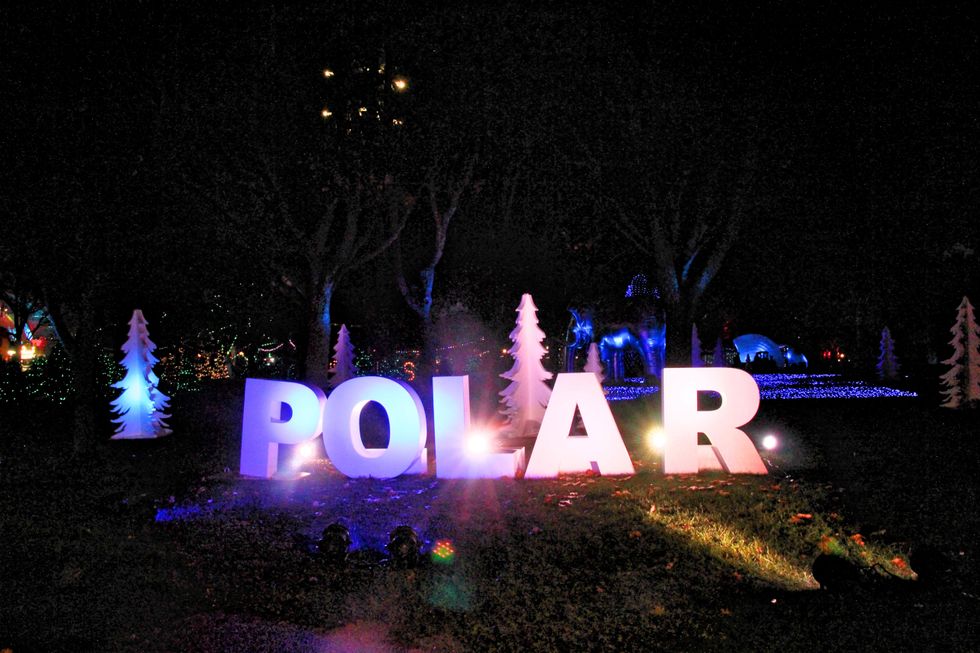 Polar Winter Festival