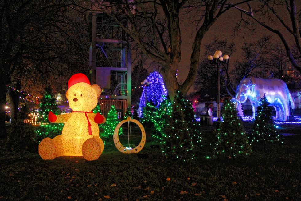 Polar Winter Festival