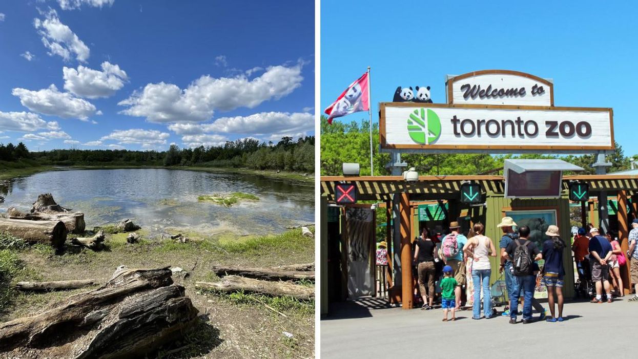 Pond in Rouge Park. Right: Toronto Zoo.