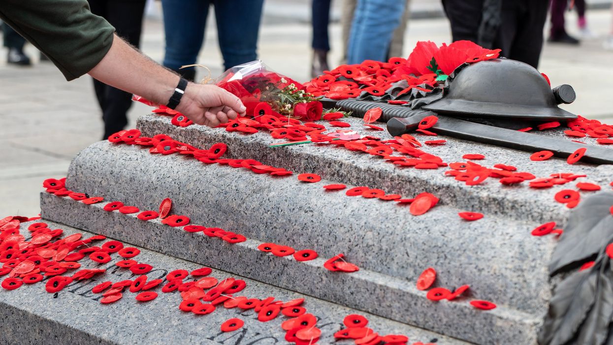 Poppies laid on the Tomb of the Unknown Soldier in Ottawa on Remembrance Day.