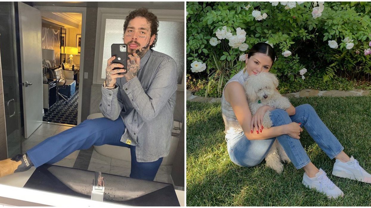 Post Malone taking a selfie. Right: Selena Gomez with a dog.