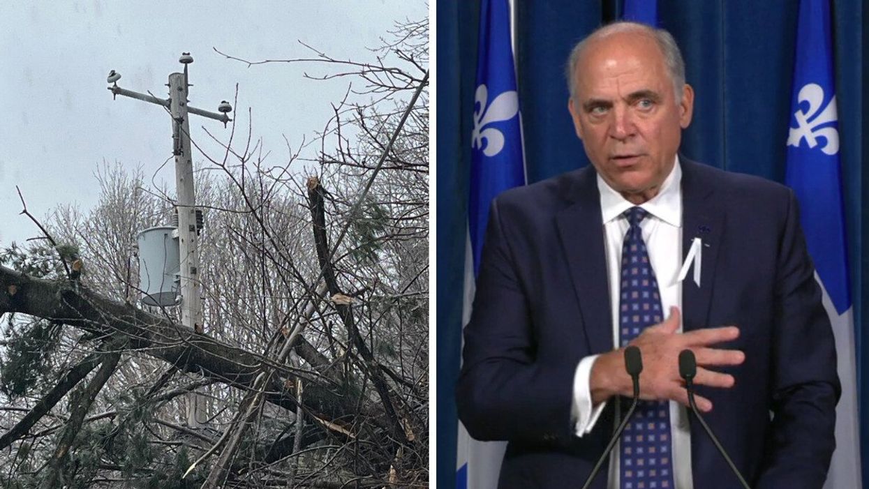 Poteau électrique au Québec, avril 2023. Droite : Pierre Fitzgibbon.