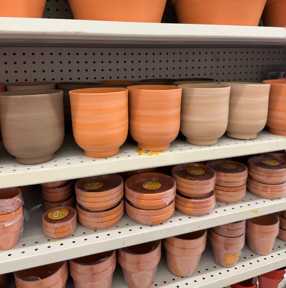 Pots de fleurs en terre cuite de diff\u00e9rentes couleurs vendus au Dollarama.