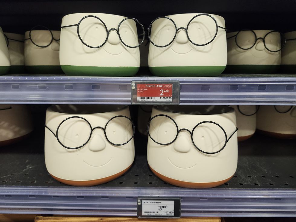 Pots \u00e0 fleurs avec lunettes.