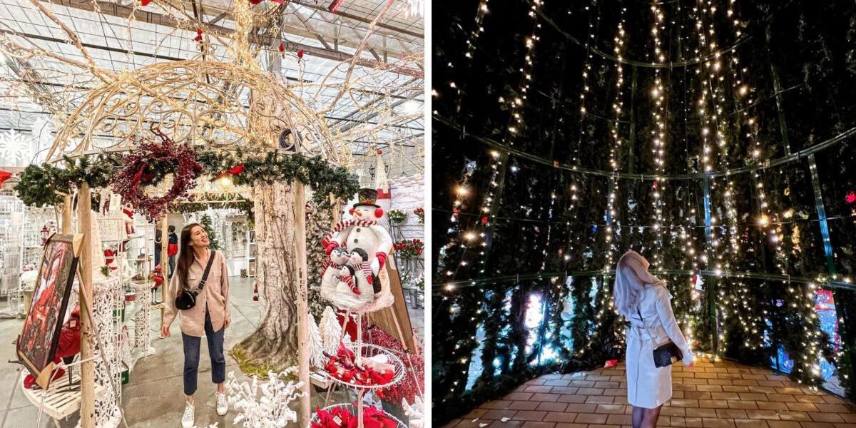 Vancouver Ranked As The Best City In Canada To See Christmas Lights vancouver-ranked-as-the-best-city-in-canada-to-see-christmas-lights