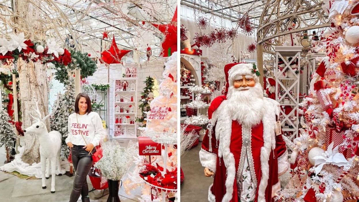 Potters Garden Centre Nursery & Christmas Store.