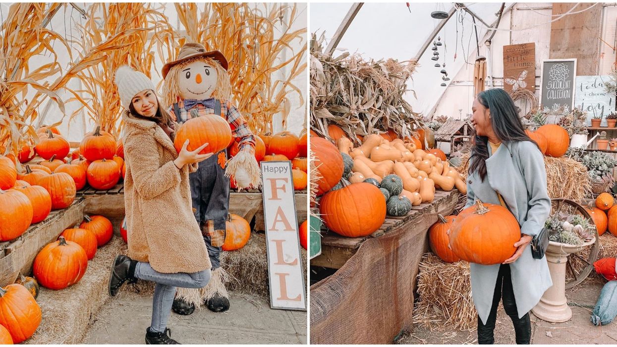 Prairie Gardens Edmonton Has All Things Fall In One Adorable Place