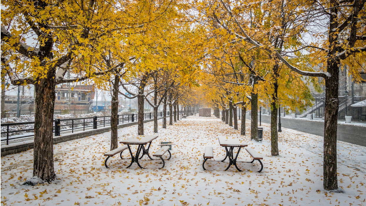 Première neige à Montréal.
