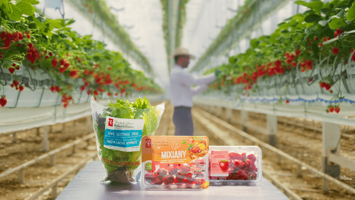 President’s Choice lettuce, tomatoes and strawberries in a greenhouse.