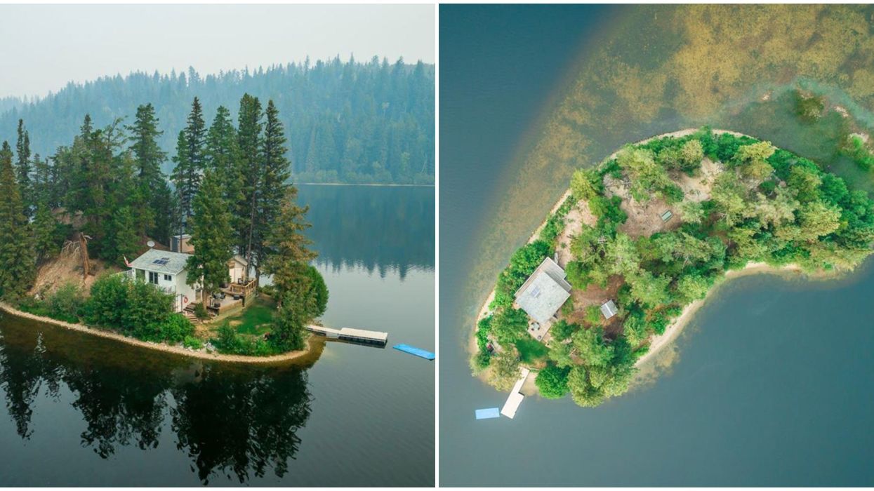 Private Island For Sale In BC With A Tiny Cabin On It Is For Sale For $269,900