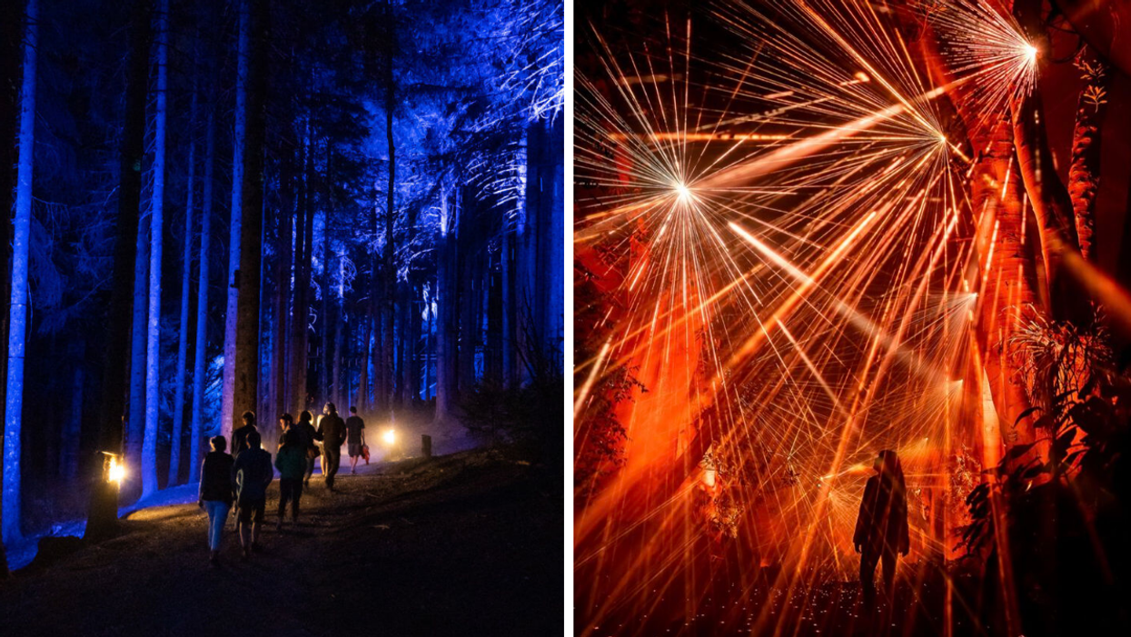 Projet Foresta Lumina. Droite : Projet Lights Cycles.