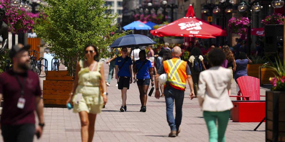 Applications for federal public service jobs drop by almost 30 per cent Applications for federal public service jobs drop by almost 30 per cent