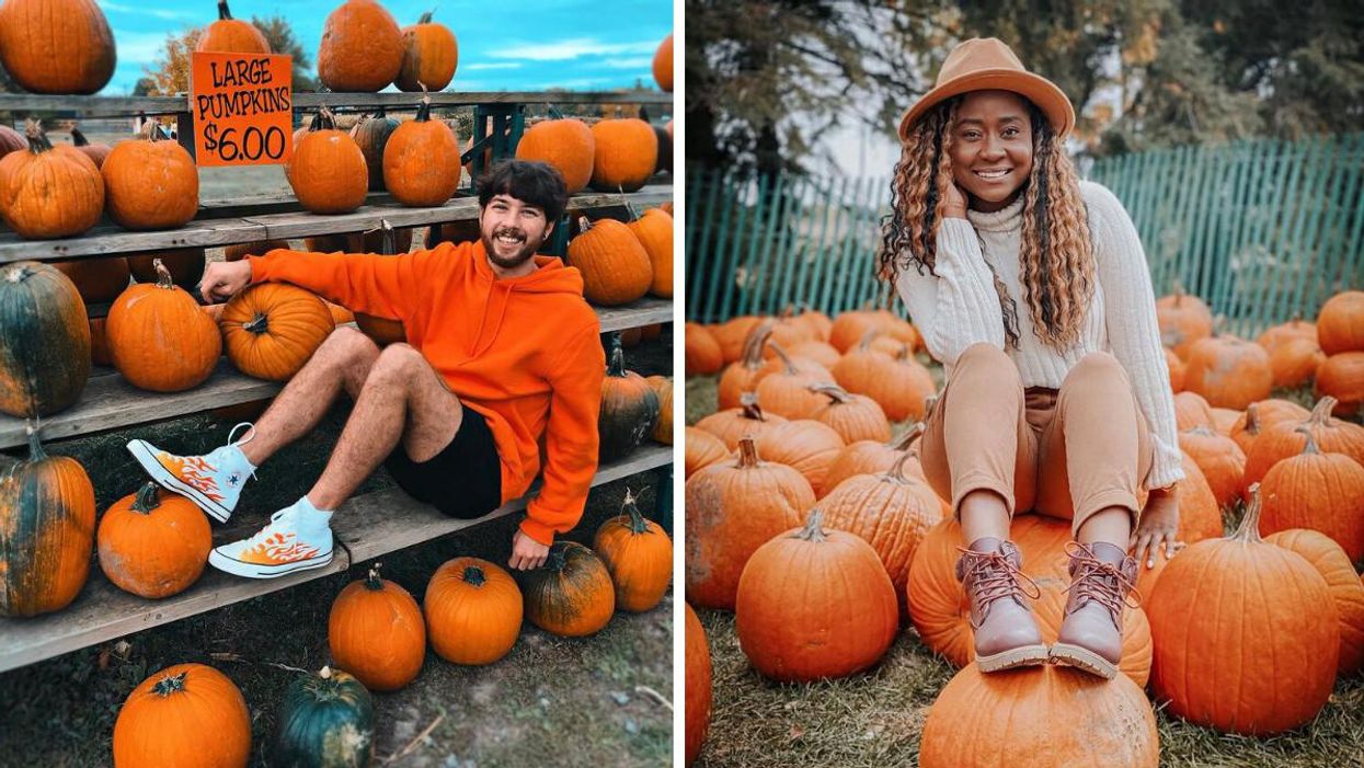 Pumpkin patch.