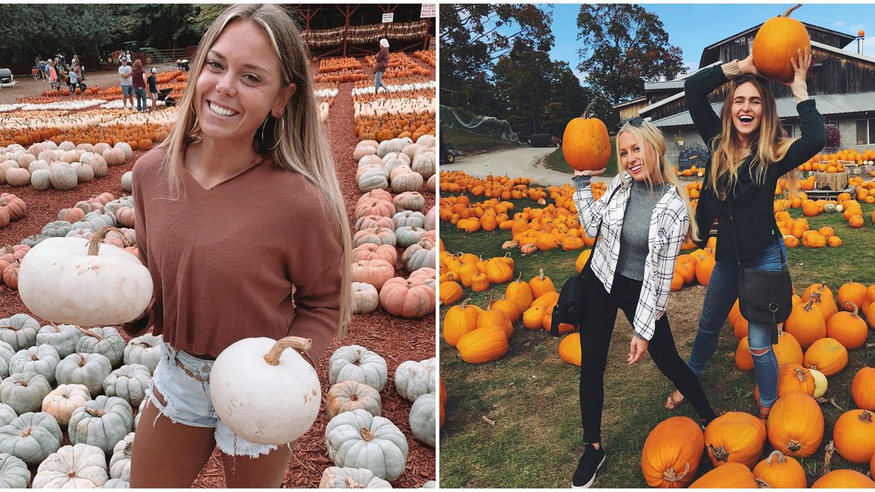 Pumpkin Patches In Georgia That Are Opening This Fall 2020