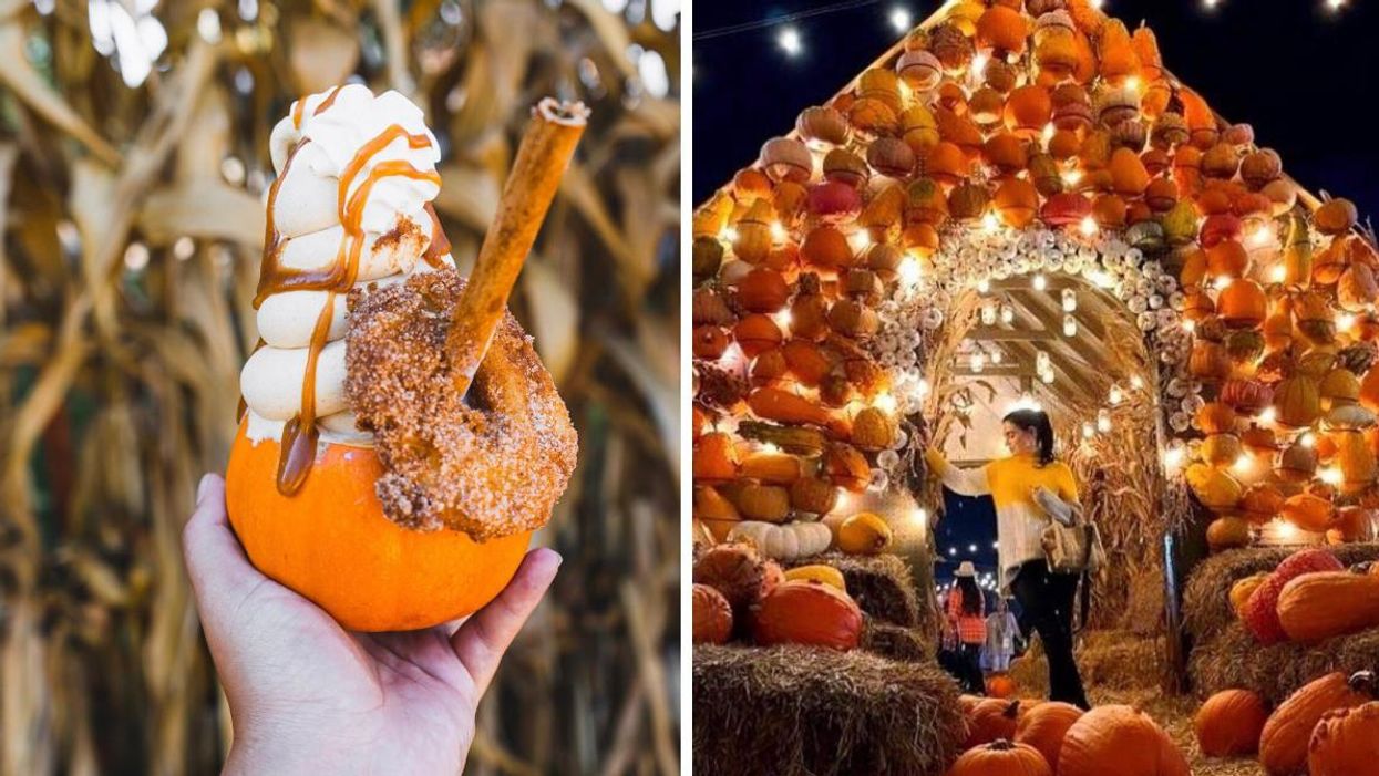 Pumpkin soft serve with a donut. Right: Woman standing in a glowing pumpkin house.