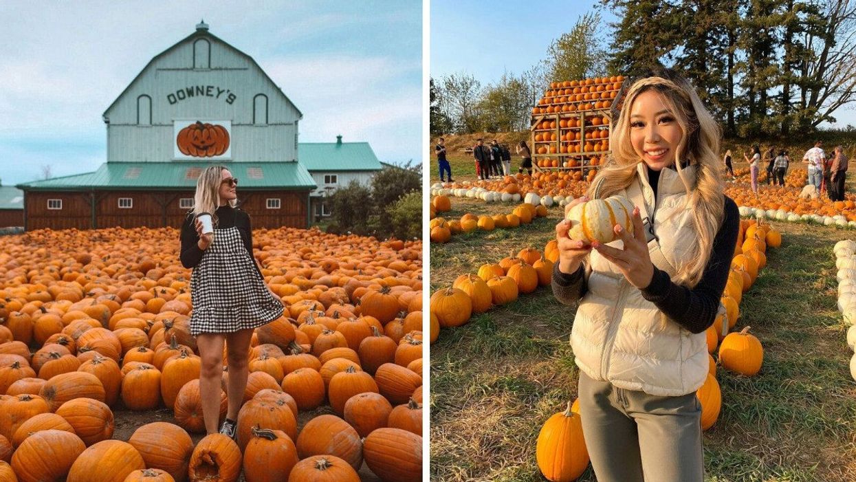 Pumpkins at Downey's Farm. Right: A person holds a pumpkin at Maan Farms.