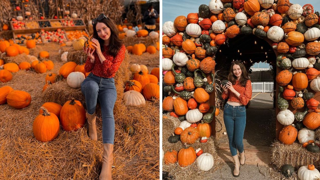 Pumpkinville in Toronto.