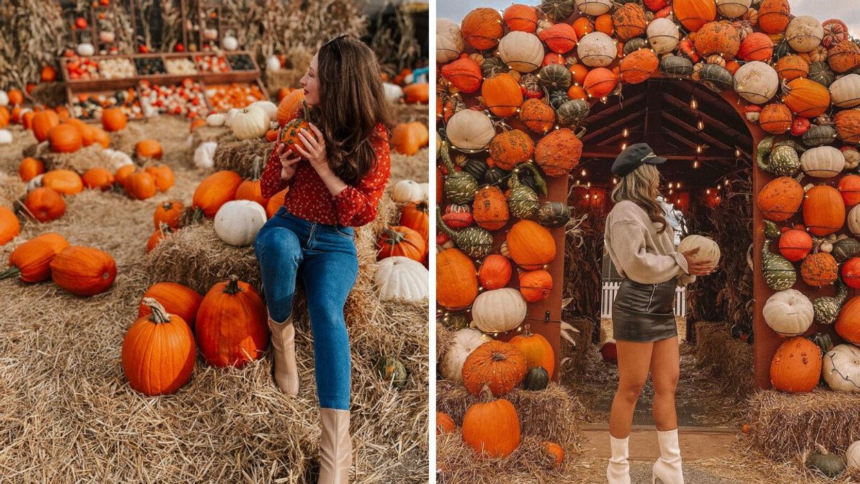 Pumpkinville.